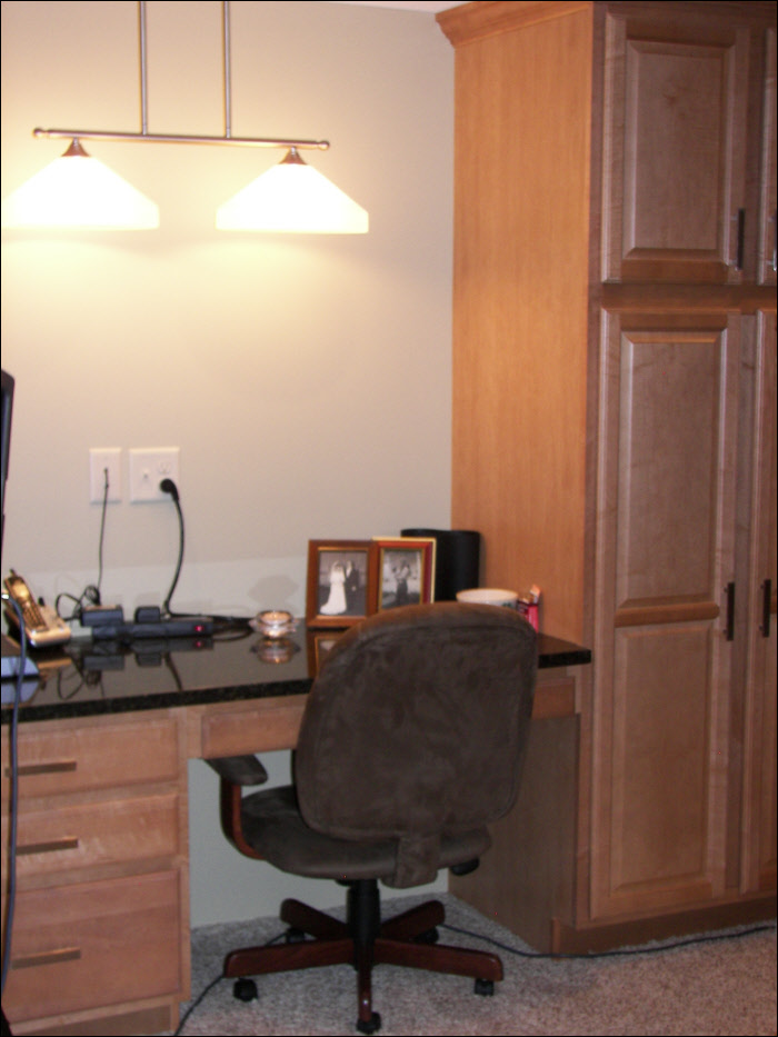 Basement home office custom-built